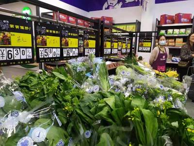 菜籃子里憶崢嶸 中山食出用蔬菜零售講述企業成長故事