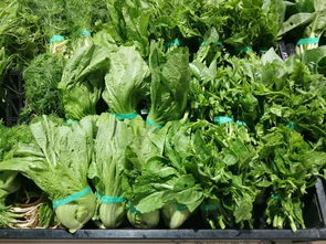 上周云南省生活必需品零售價(jià)格觀察 6漲1平5跌，新鮮蔬菜價(jià)格回落